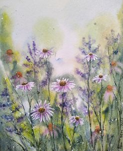 Purple Coneflowers III