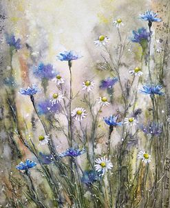 Wildflowers I