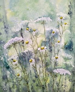 Wildflowers III