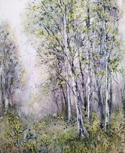 Landscape Spring II