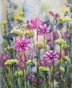 Cosmos Flowers Vii