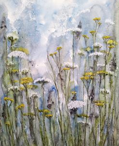 Meadow V
