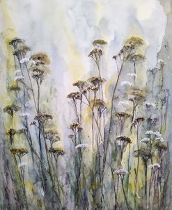 Meadow Vii