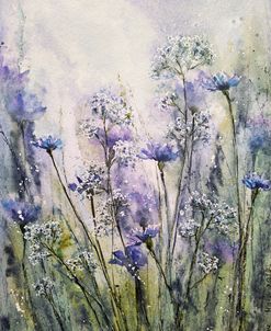 Wildflowers Vi