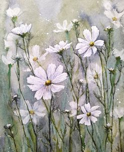 Cosmos Flowers Ix