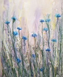 Wildflowers Viii