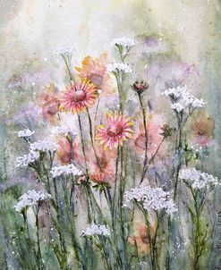 Meadow IX