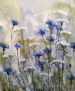 Wildflowers IX