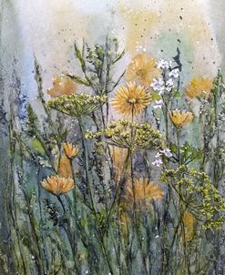 Meadow X