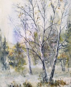 Landscape Winter V