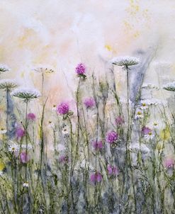 Meadow XI