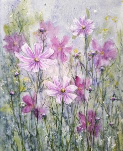 Cosmos Flowers X
