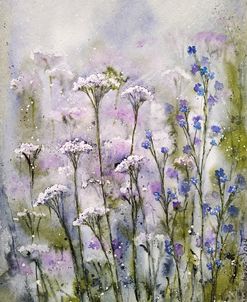 Meadow XIII