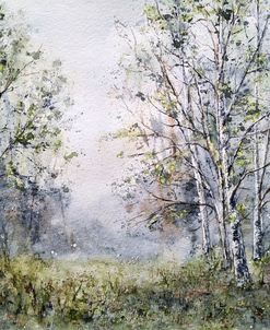 Landscape Summer