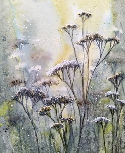 Meadow XVII