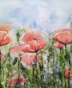 Poppy Flowers VI