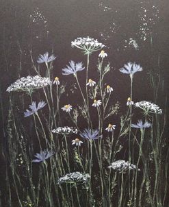 Metallic Wildflowers I