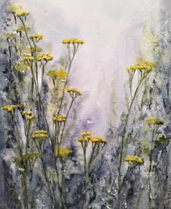 Meadow XXI