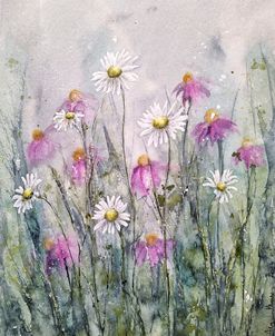 Marguerite Daisies IV