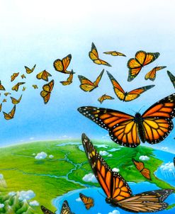 05 Wings Butterfly