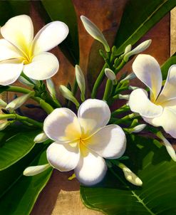 Plumeria On Gold Leaf