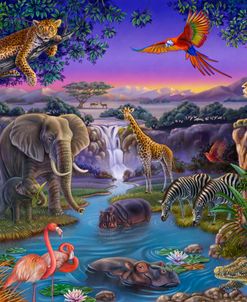 African Animals at NIght