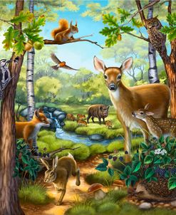 RB Forest Animals