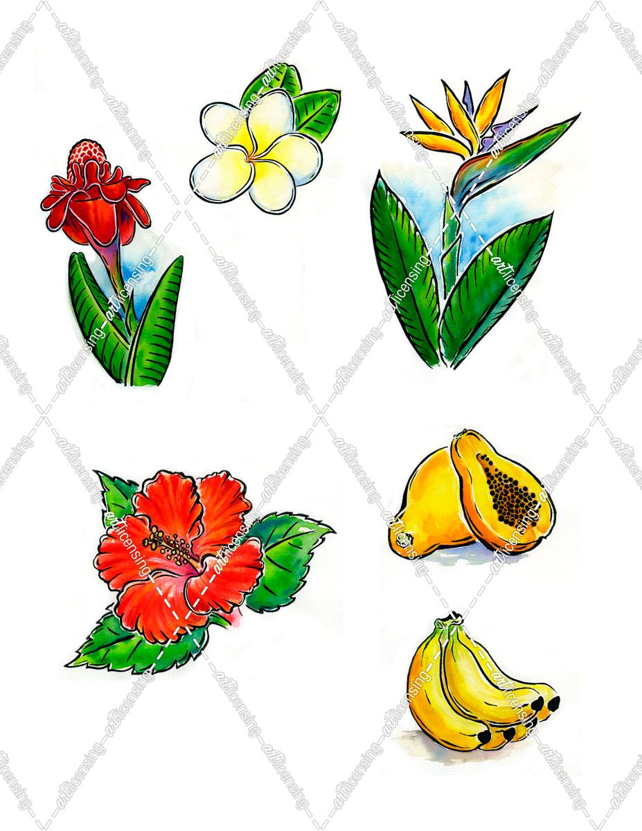 Scratchboard Flowers and Fruit