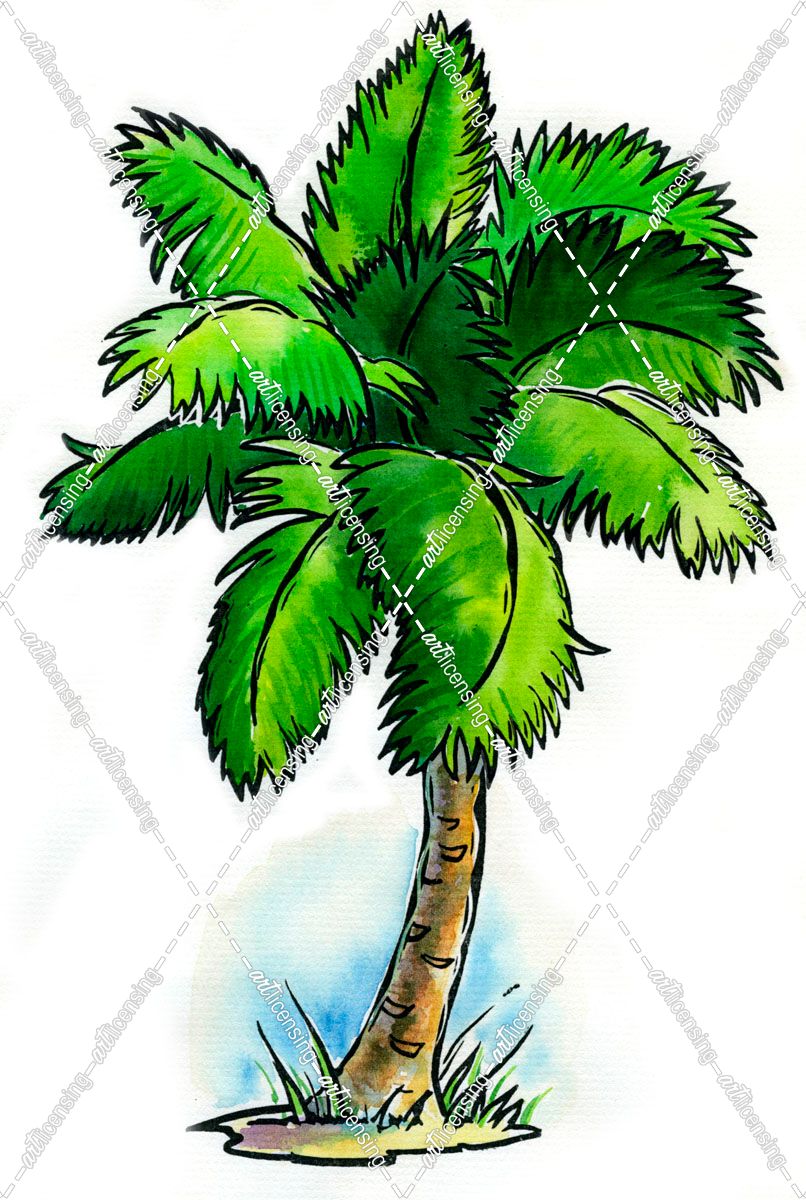 Scratchboard Palm Tree