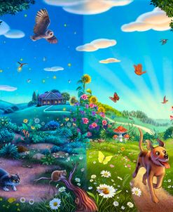 The Meadow At Night And At Day Time