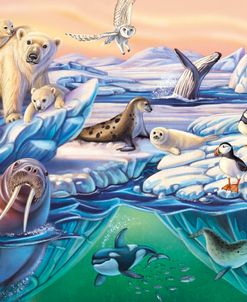 Northpole Animals