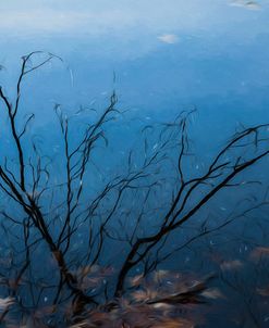 Autumn Tree Reflection Upon Water