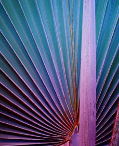 10 Abstract Art Palm Leaf