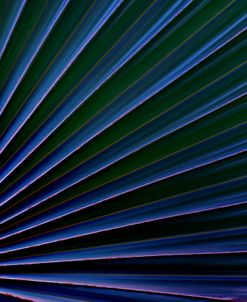 Abstract Art Palm Leaf