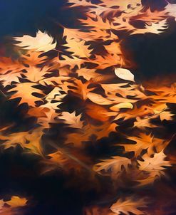 Autumn Leaves Upon Water