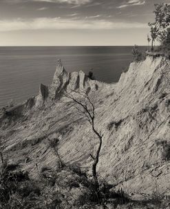 Jagged Seacoast With Rock Formations B&W