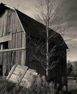 Old Barn Autumn B&W