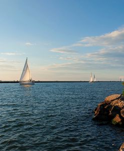 Sailboats Coming Into Harbor