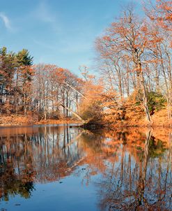 Duran Lake Autumn NYS