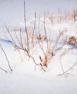 Digital Art Budded Branches In Snow