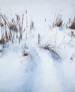 Digital Art Cattails In Winters Snowdrifts