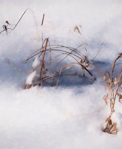 Digital Art Reminiscence Of Plants In Snow