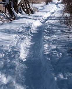 Path Through Snow Covered Forest