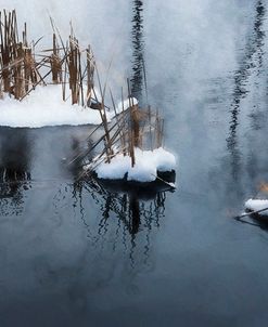 Digital Art Snow And Reeds Icy Pond