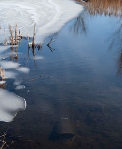 Ice And Reflections On Pond
