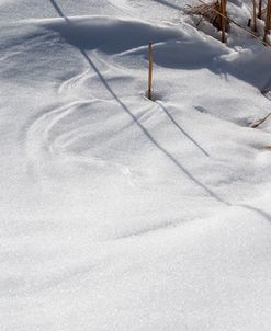 Shapes And Lines In Snow