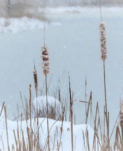 Falling Snow Upon Cattails Along Pond