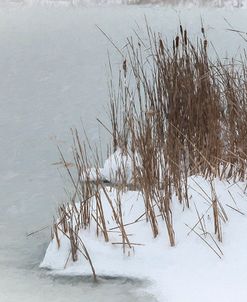 Falling Snow Upon Winter Ladscape