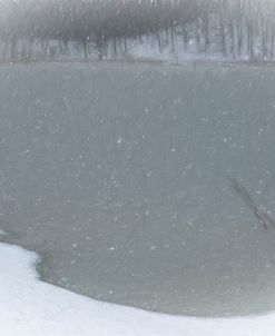 Falling Snowflakes Over Wilderness Pond