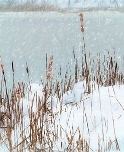 Winter Landscape Snowstorm